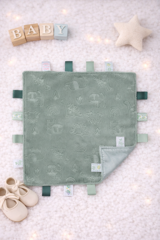 Sage green dinosaur taggy comforter- blank