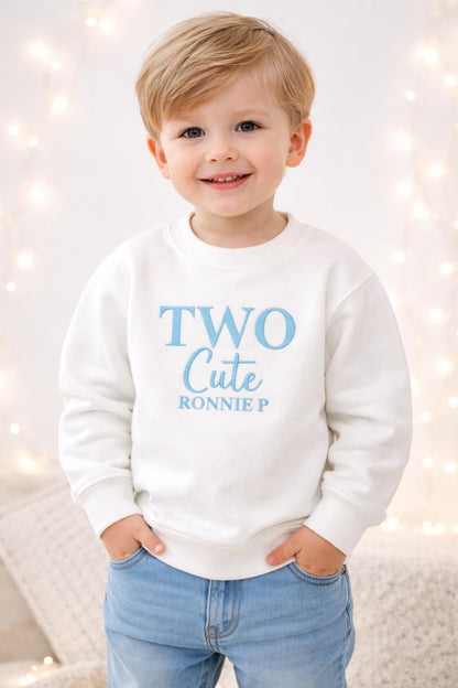 Personalised Second Birthday Sweatshirt, two cute Birthday Outfit, two Birthday Shirt, Embroidered two Sweater, Birthday Party Outfit,